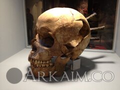 58831661 2095970273791630 2355584120685330432 O