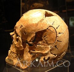 59157527 2095982117123779 4013835173643681792 N