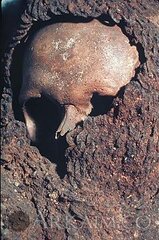 4c45a82489c484d6135ab2f0e1f4ef7e