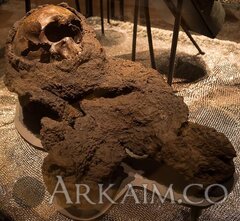 2021e4f97e0a7e72278ab9a35e37c21c