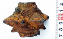 IMG 2f135bf430c8bd4a8eab605f30c669a3 V