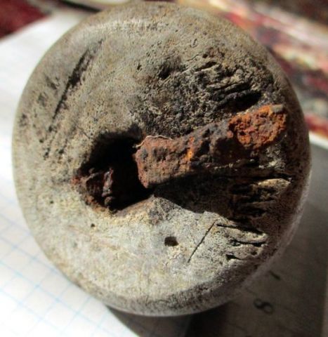 IMG 8355 800 кость