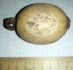 703350 1585763390 110гр