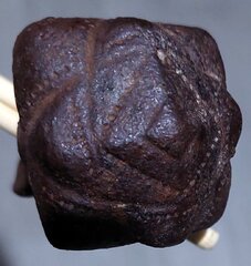 e2677617 ef71 4ff5 b7b5 346c02c45d54