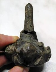 173783159 302242804747084 2193688716308692373 N