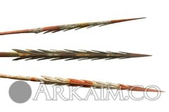 425826 5b71d4216a6c130b7f12e1bdd4b508c6