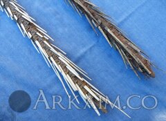 370004 1ef83a05707efba1c827782f601a8fdc