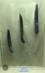 52880598 2064087603687961 3219289266383224832 N