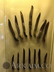 53020339 2064087477021307 3416649395955826688 N