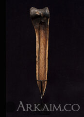 427914 f94913fc382b6166be782f82e77ea86f