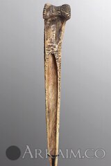 427959 8dbd2dbd0a4fec2c96ffe7b892b94800