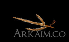 415404 6ddc321f591ecdcfe239cdfe670ded52