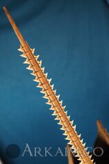 415417 462af651c424949869c0f35ead146cd5