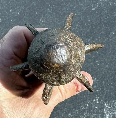 488735359 1148041280455046 5056326231916933596 N