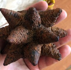 0 02 05 2f79a53add63052074c4c97d1c944f70f67d5f2ac1422502c6d9a9092743c920 f3d49a12