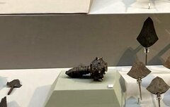 photo 2024 07 24 18 49 57