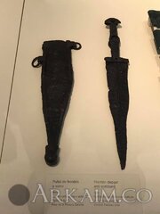 55711679 2103204909776230 6505817345296957440 N