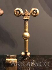 48394449 1958272987602757 244468739624402944 N