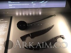 48392473 1958276350935754 5489076845485752320 N