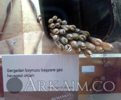 13346464 10206398347613167 8328728612291772022 N