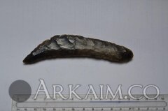 photo 2019 09 25 23 31 02