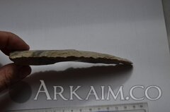 photo 2019 09 25 23 31 21