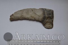 photo 2019 09 25 23 31 24