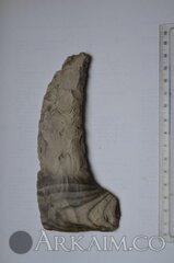 photo 2019 09 25 23 31 27