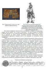 total war1421312012 55