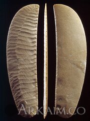 photo 2019 09 23 21 38 08