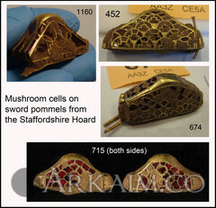 Mushroom cells On pommels smaller C