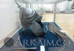 1471223 219454184892351 74412820 N