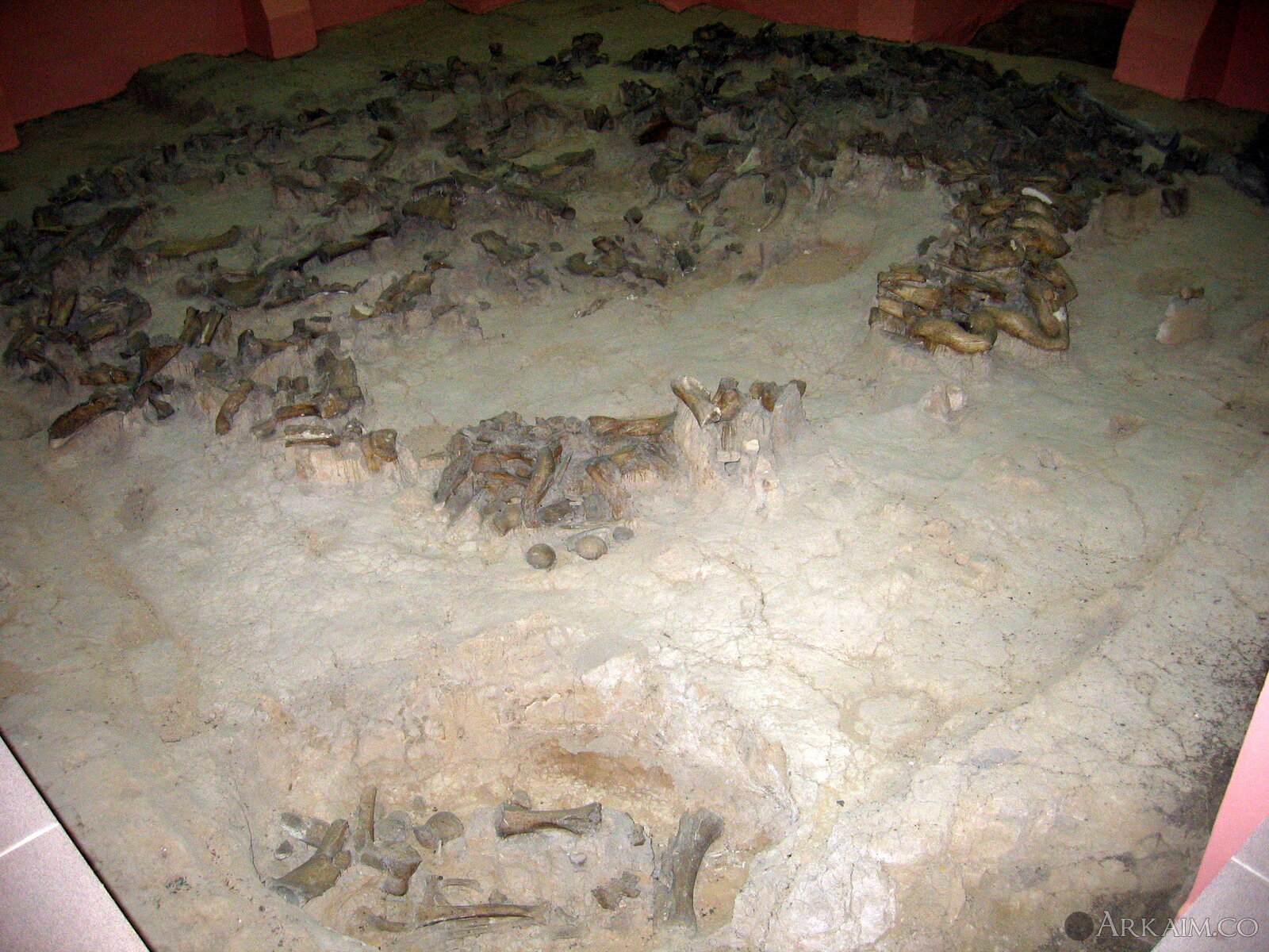 Россия. Костенки