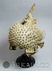 414956 bf7791be9b3d286dadb4e468c6cf20c1