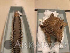 415407 ea7281f41ba7b2c94376a665bb47400b