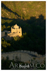 8061692722 7bcde8a39e C