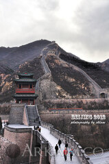 7060028853 d8eb87d2b1 C