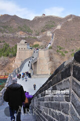 6913945364 b9f2a02c68 C