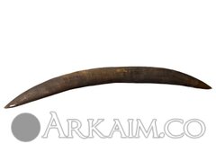 399561 8efe29026180170e8dfe9ebc7cb46ae0