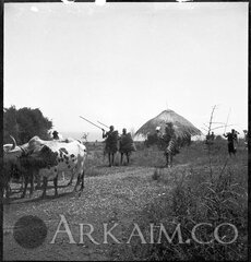 392465 d6902e2d81836a52585c142797d2d2d3