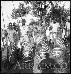 392464 30942b11acffb4f7289c8ee3726ac084