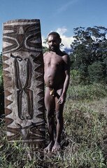 440645 7ac19f592c7236451c6007a721895942