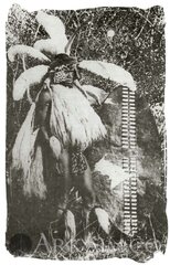 386955 d53d0be7e4d98bf231187bbe8120d87d