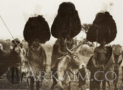 392468 3d34144832cee349c3501732325762b7