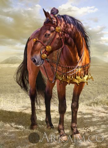 XGDTOGfrGFU5pyq6t6 I0PY Bi2rGuvVCa7Rdb5O lHlNKqZt v1FjNV23 Y99IcrSVwX23q4Zm8zy Vpo5QAX 9