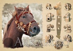 25440316 1392688184173673 2240989948255556703 O