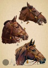 25626270 1392688174173674 9135746369270961865 O