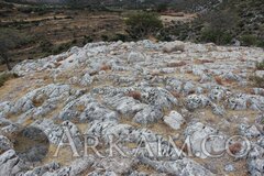 post 3914 0 29158500 1489089203