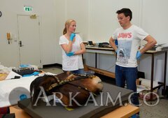 39442436 1897962776940046 8814593082734411776 O