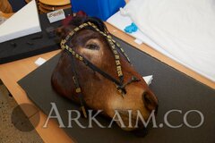 39396391 1897964256939898 7426628779889393664 O